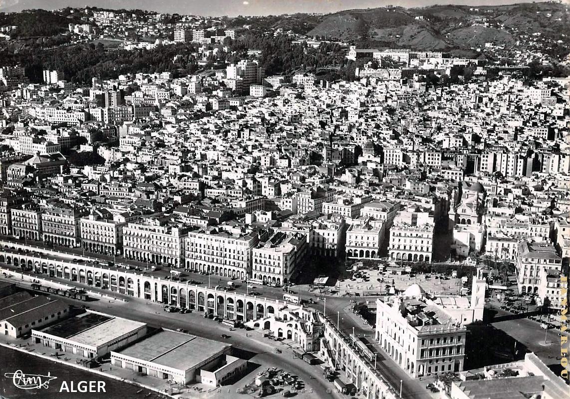 Alger - rue de la republique.jpg